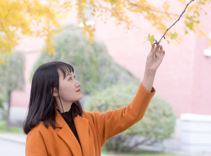 菲律宾旅游签证开了没有(怎么办理旅游签解答)